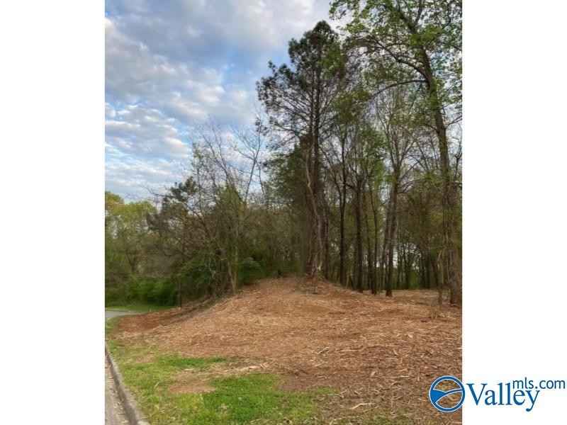 Lot 37 Eagle Dr  