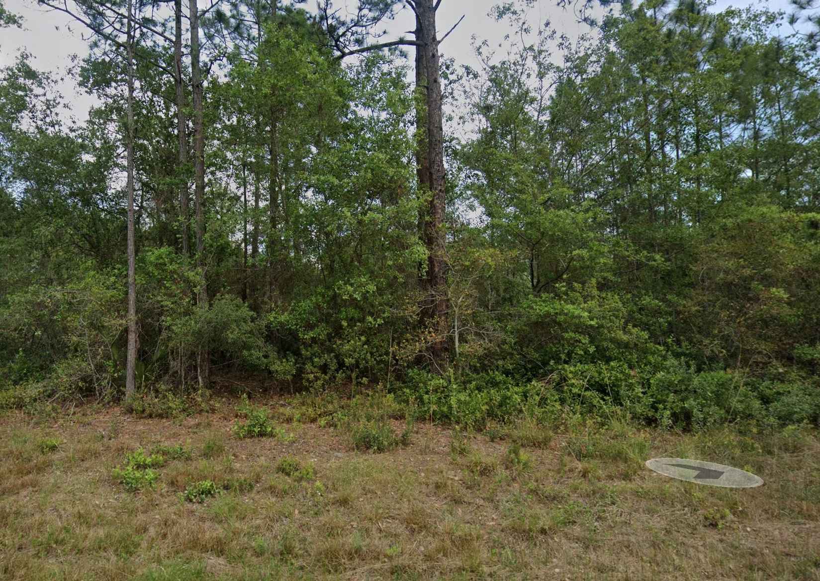 124 Roebuck St  