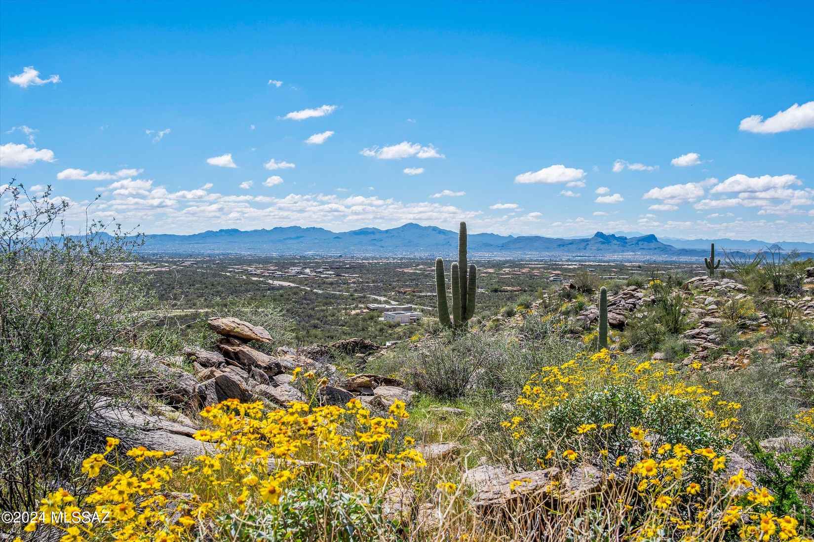 3601 W Adobe Ruins Pl W  