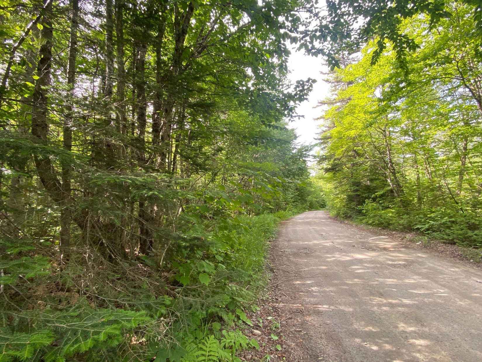 lot 9 Signal Mtn Rd  