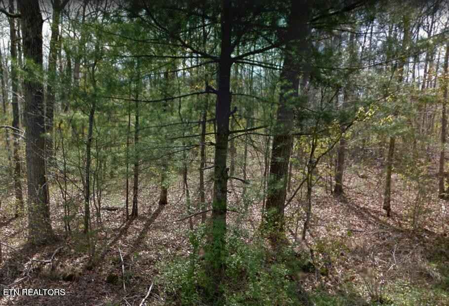 2032 Coyote Dr  