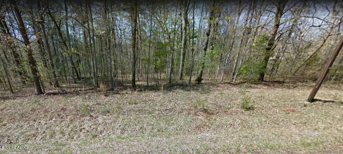 1024 Geronimo Ln  