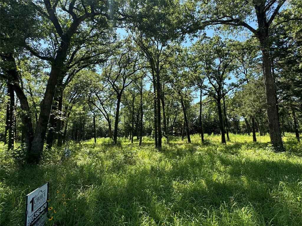 Tbd Rs County Rd 1503  
