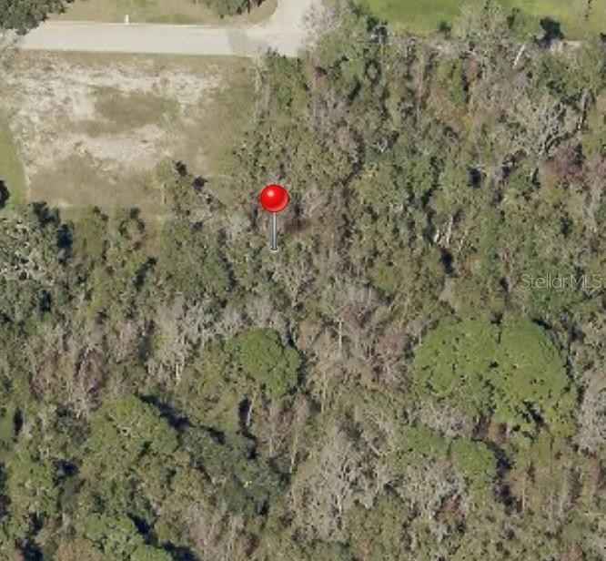 11325 Tralee Dr  