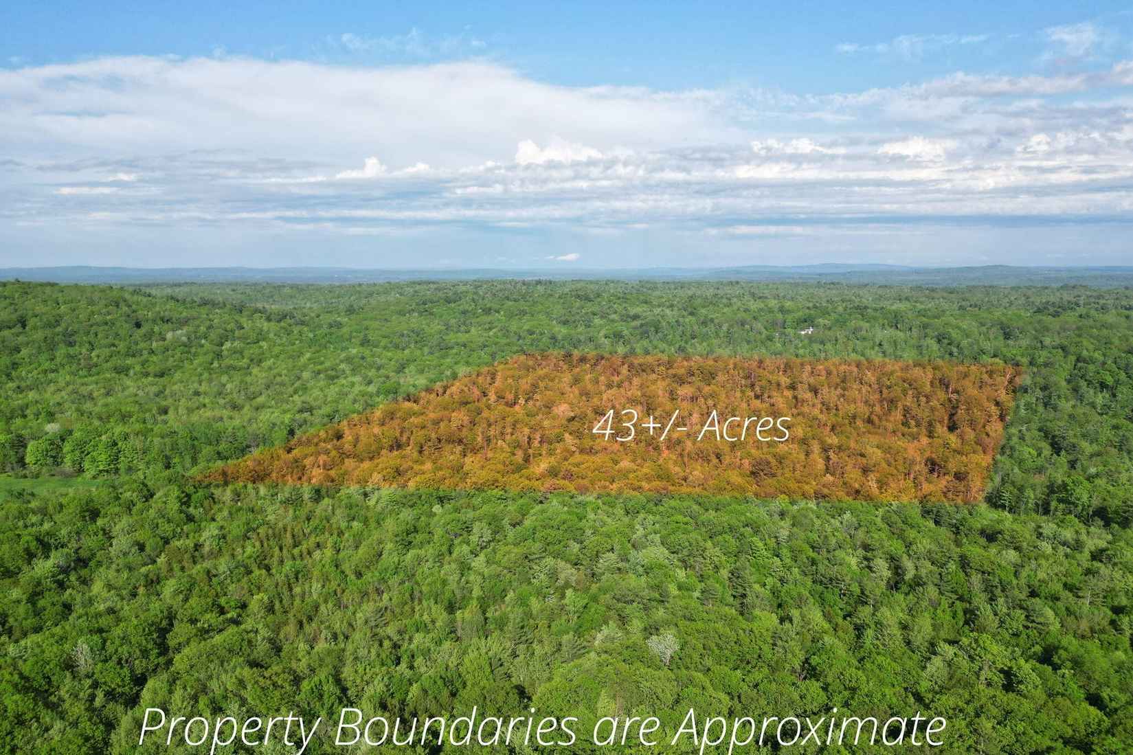 Lot16 Torrey Hl Rd  