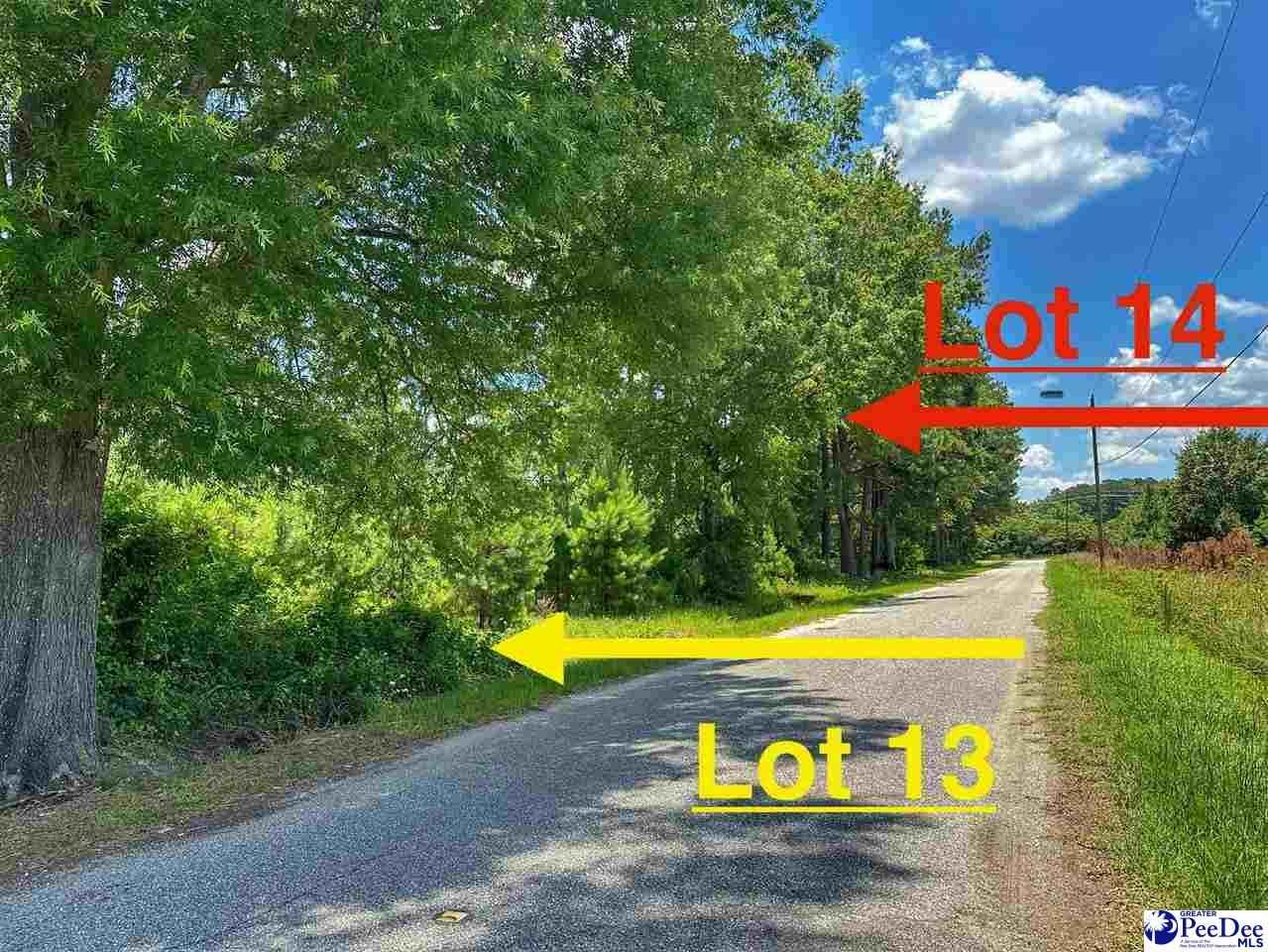 Lot 14 Gasque Dr  