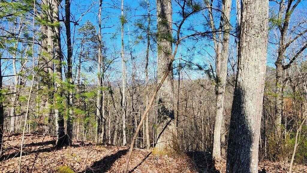 Lot 80 Dollys Dr  