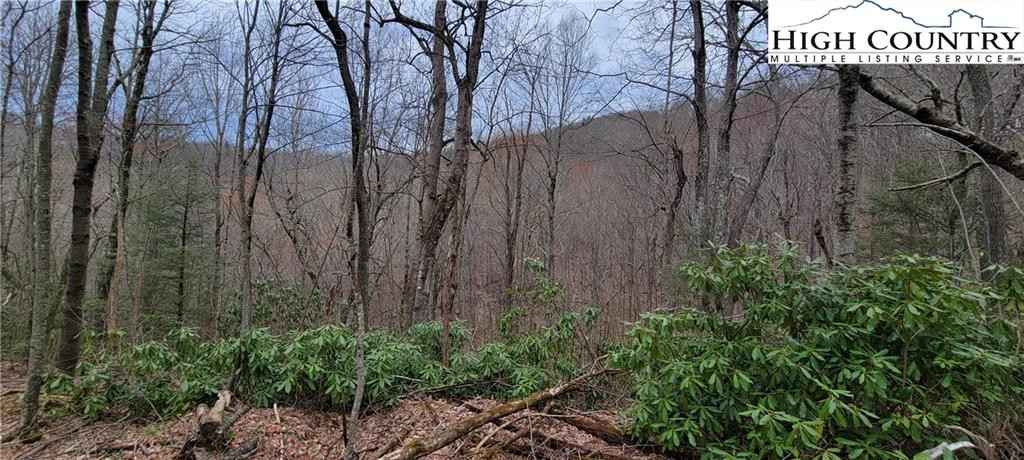 Lot 2 3 5 Fairview Church Rd  
