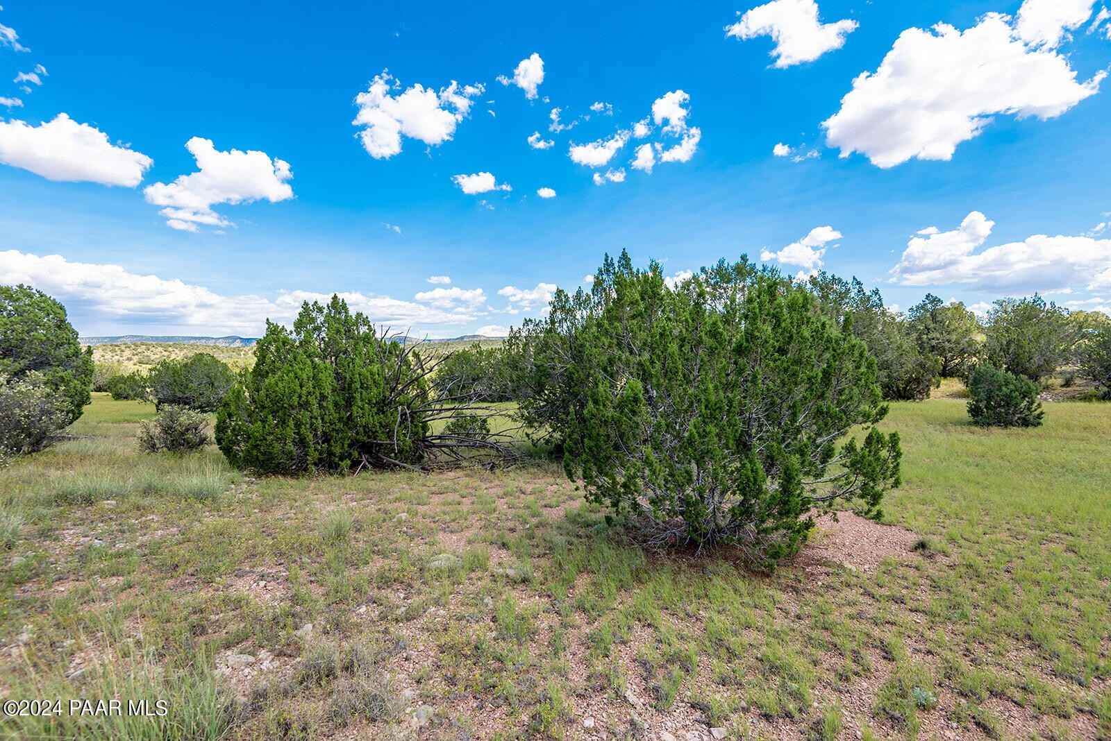 31120 W Cruz Cir  