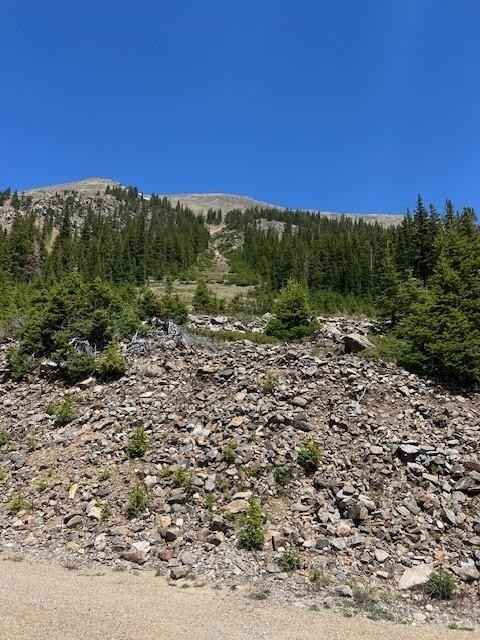 207 BULLION MINE Rd  