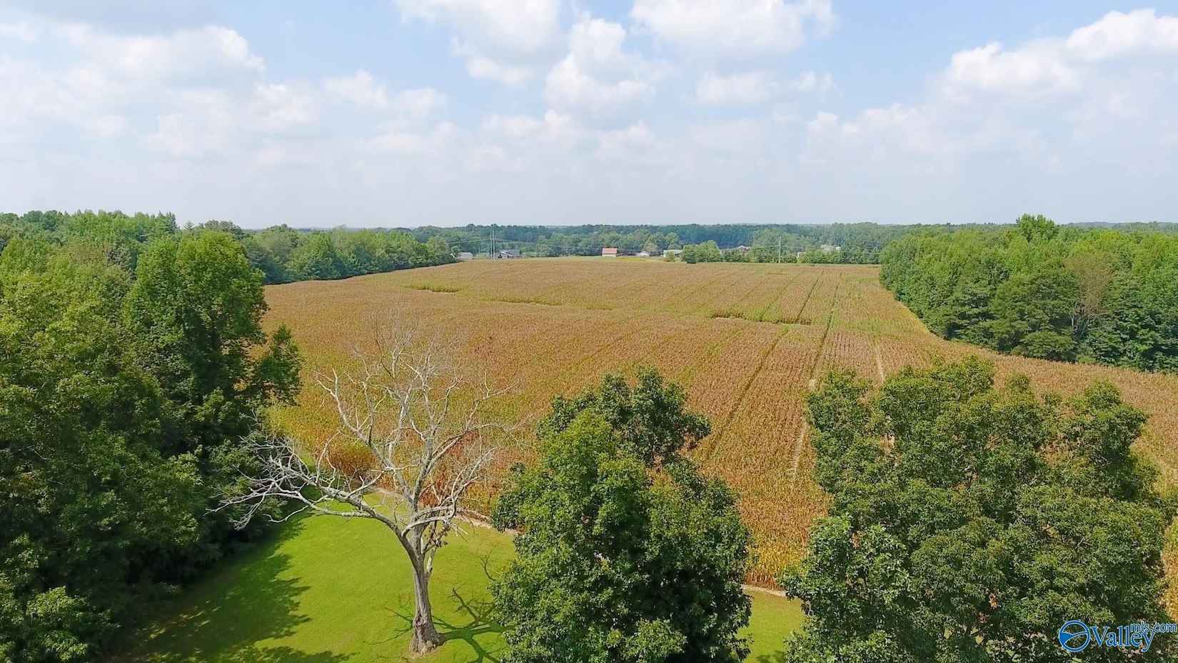5 Acres Hilldale Church Rd  