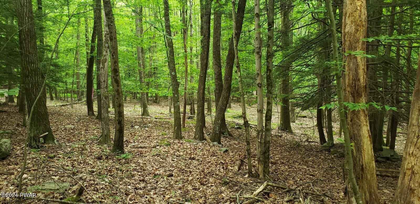 Lot 12 Cedar Ct  