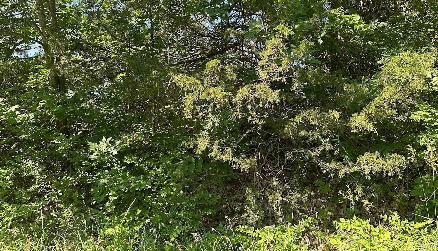 9 04 Acres N Rdg RD  