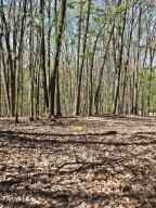 Lot 53 San Andres Rd  