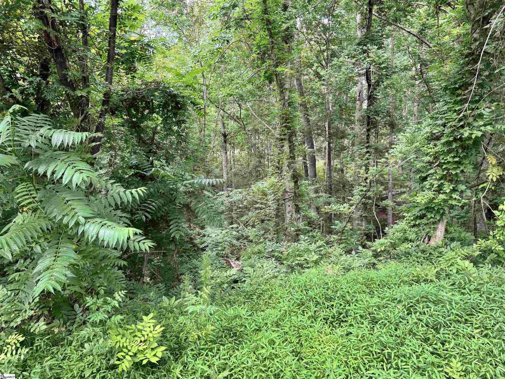 1220 Green Fern Dr  