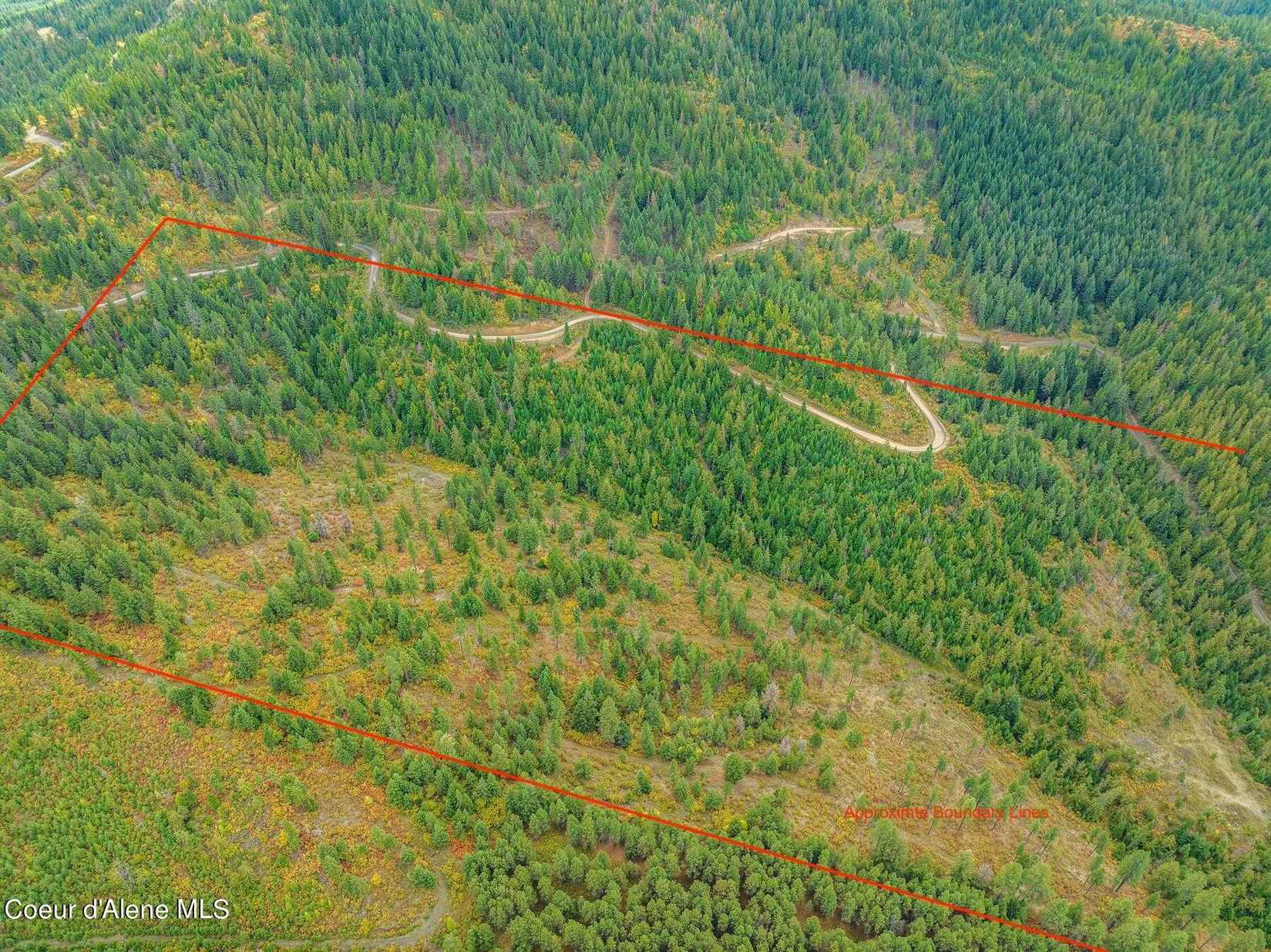 80 Acres Coon Crk Rd  