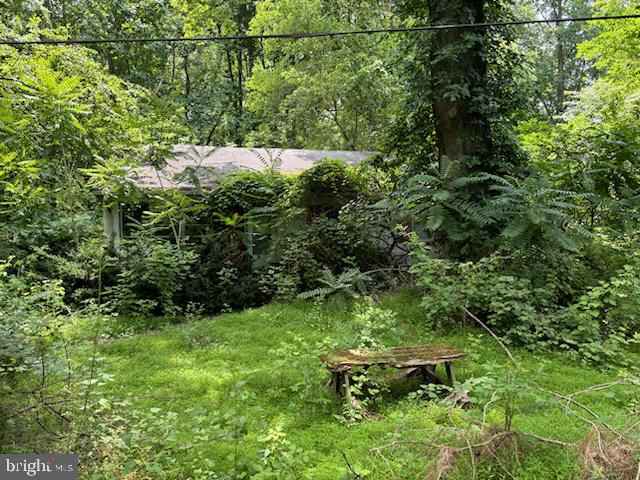 53 Ark Rd  