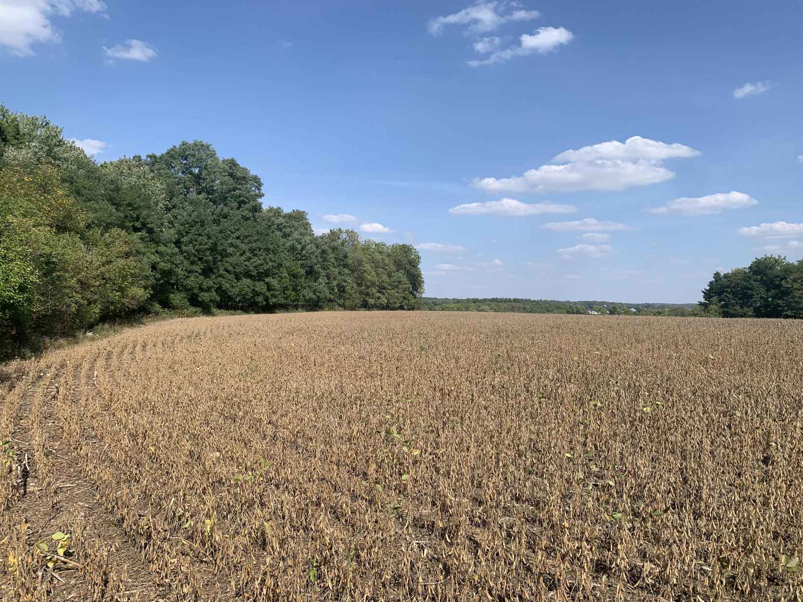 Lt2 Highway 59 -  