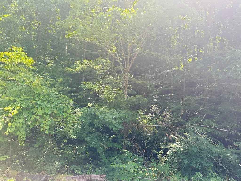 0 KY RT 3379  
