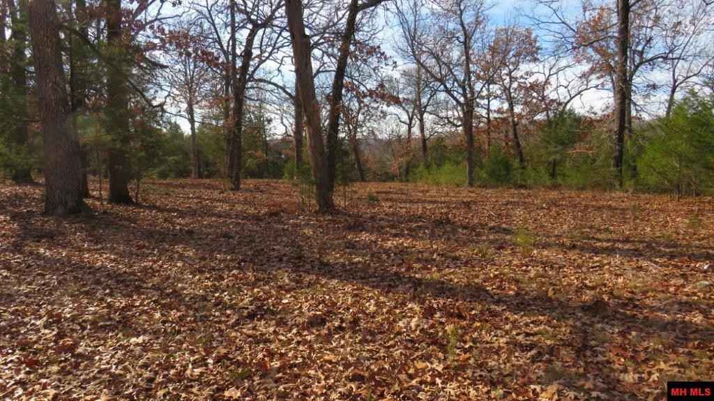 Lot 5 BURGGRAF Trl  