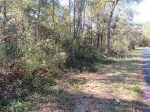 0000 SW MONACO Ct  
