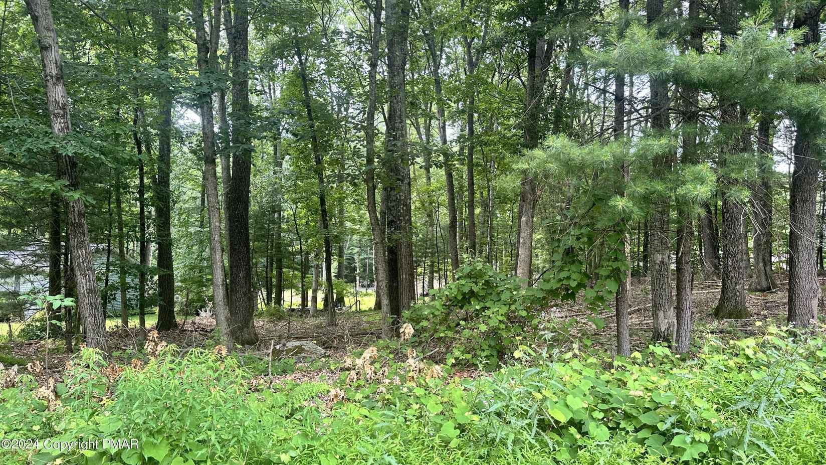 lot 609 Mikes Rd  