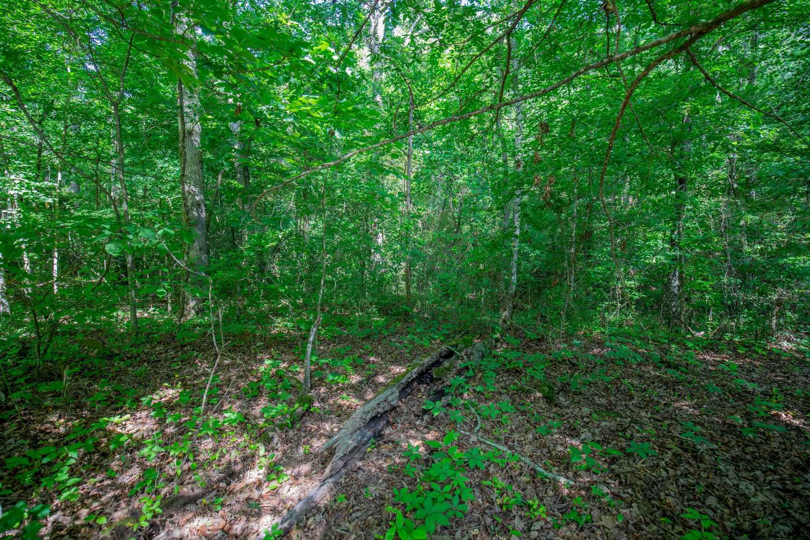 11138 Dolly Pond Rd  