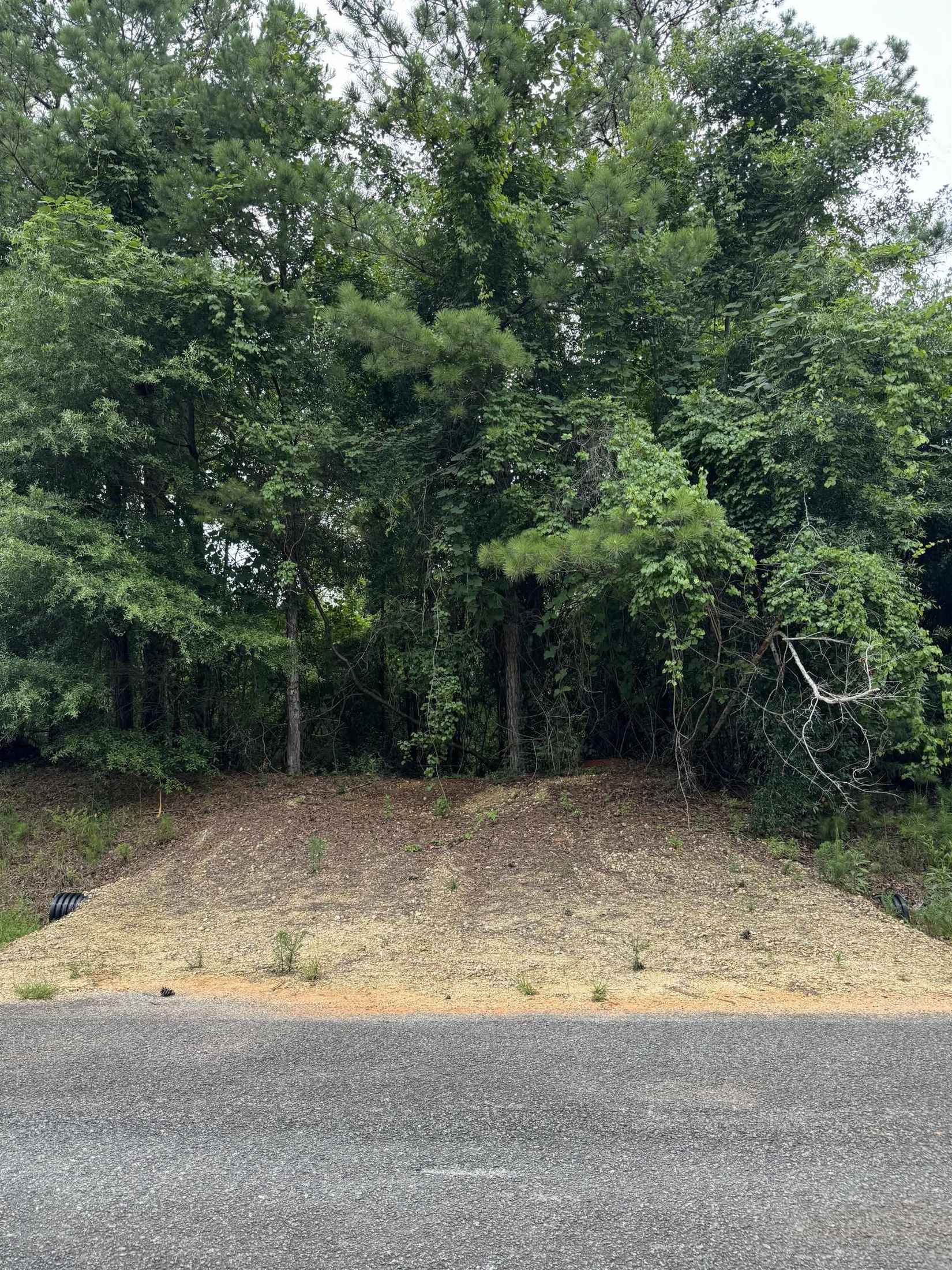 29761 Meadow Lane (Lot 33)  