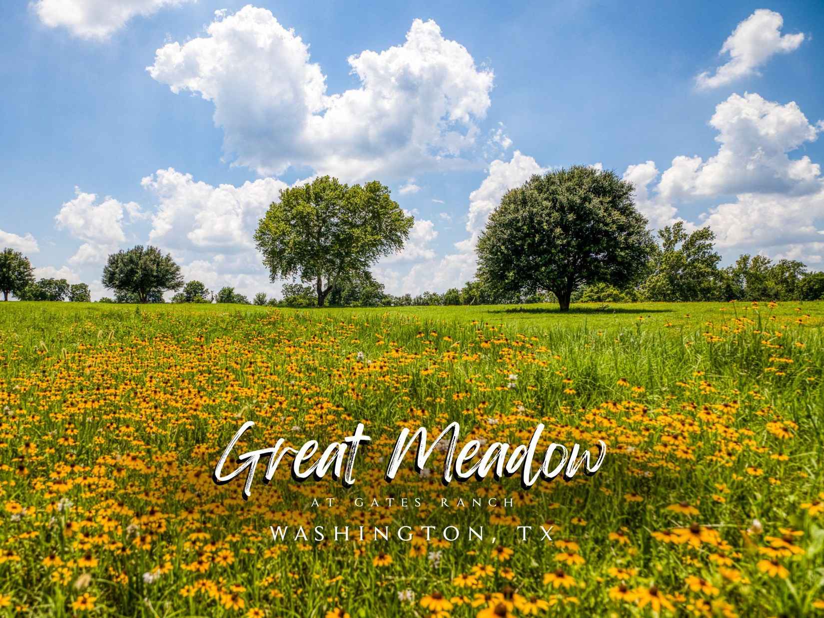 TBD Farm to Market 2726  