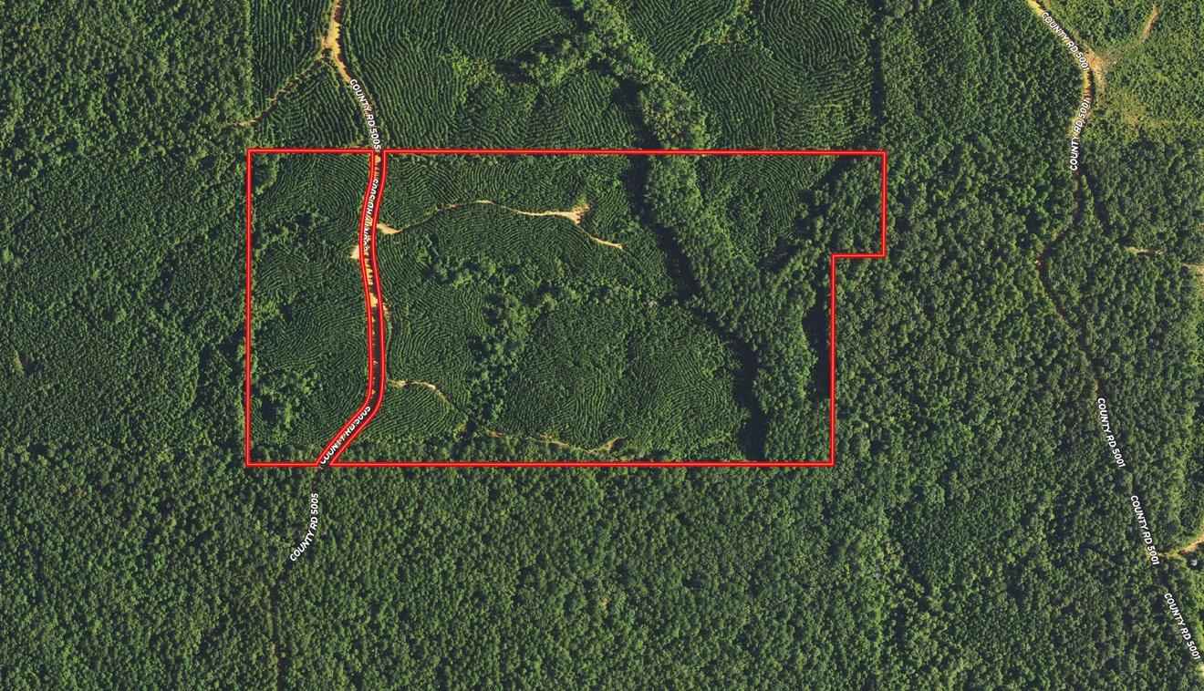 County Rd 5005  