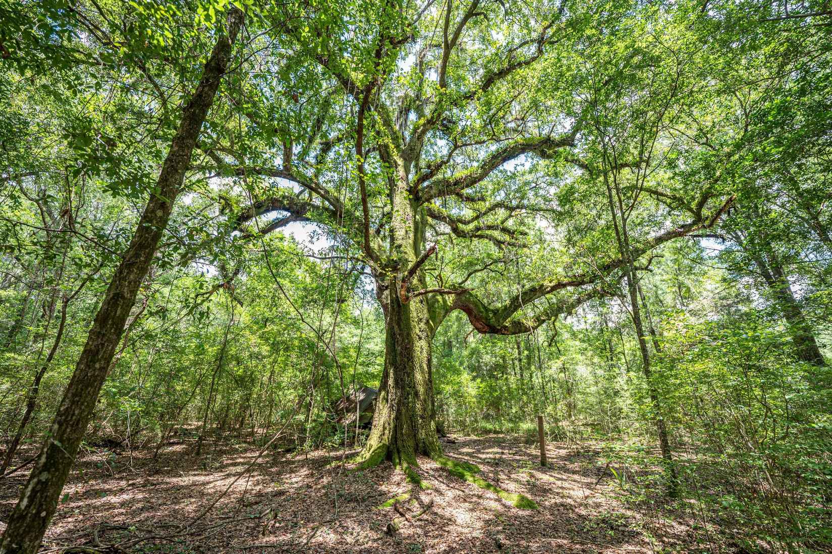 12 95 Ac W Hwy 90  