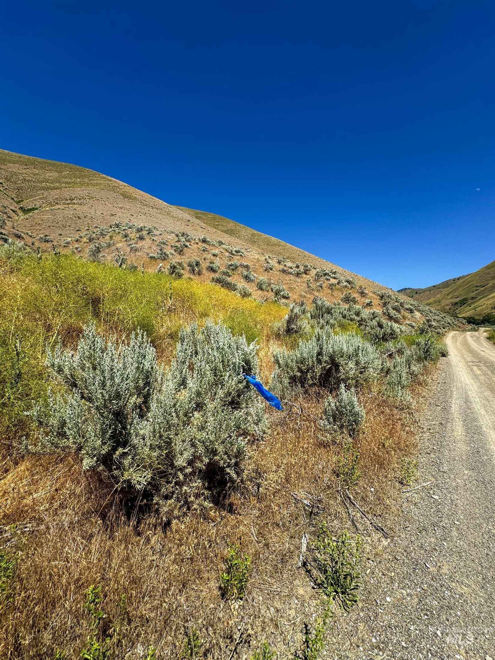 Lot 1 Parcel 1 Dennett Crk Rd  