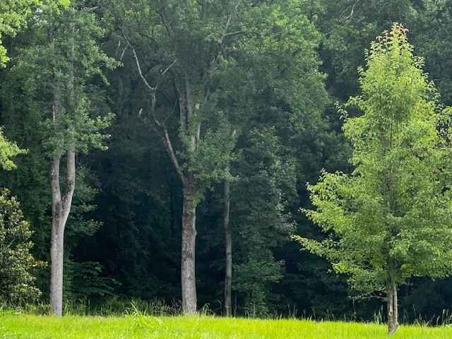 15245 Birmingham Hwy Hwy  