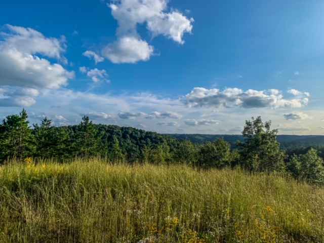 465 Anderson Cemetery Rd  