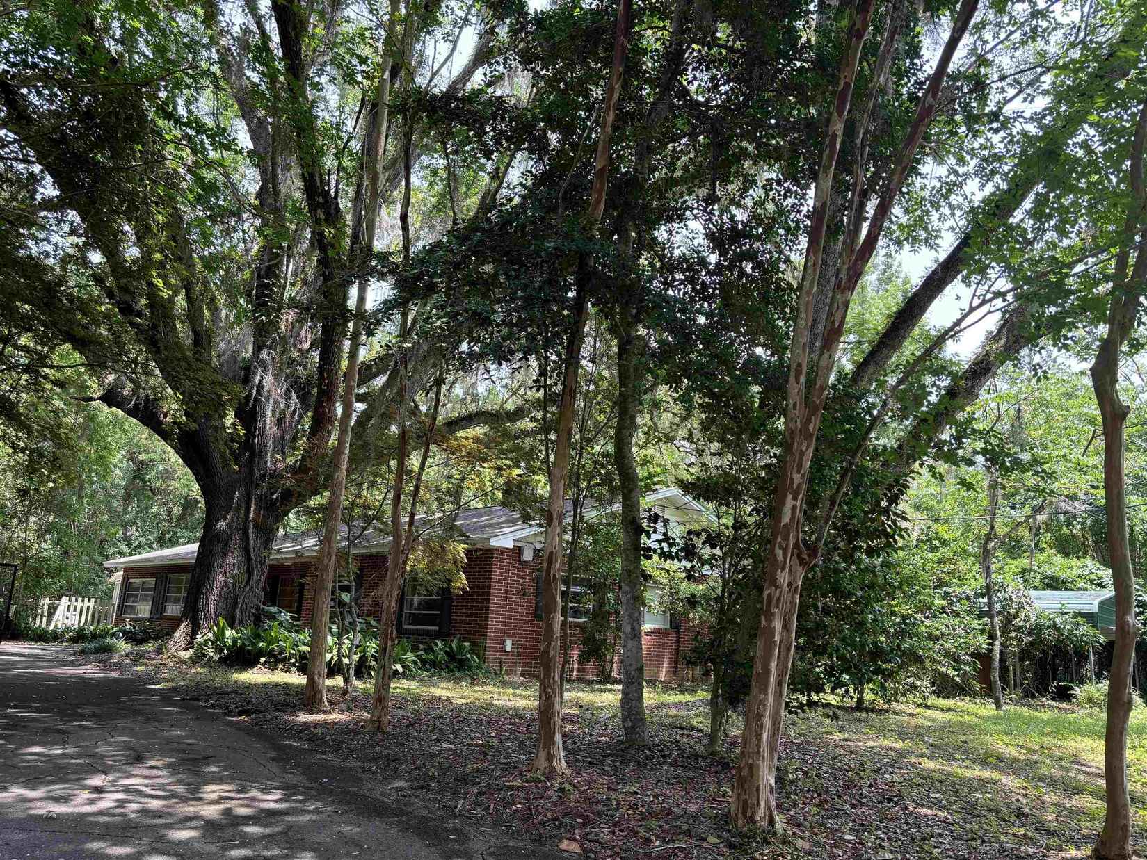 2390 Tallahassee Dr  