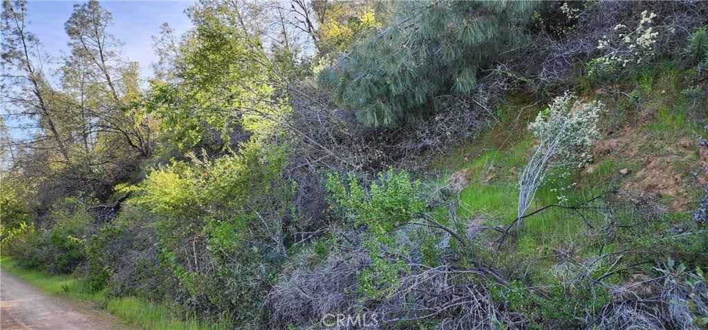 5587 Panorama Rd  