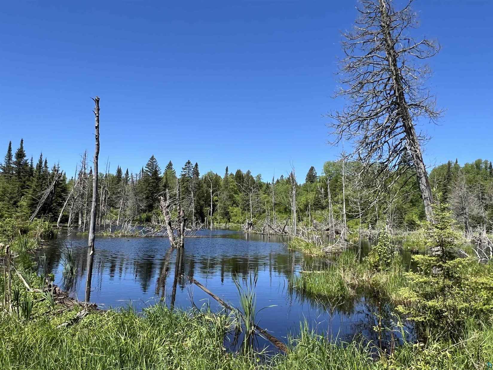 XXX1 Heffelfinger Tr  