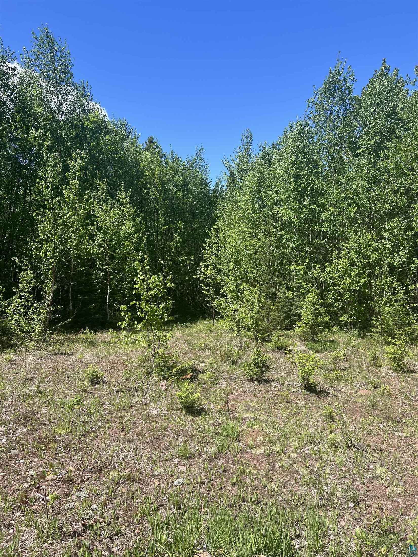 XXX2 Heffelfinger Tr  