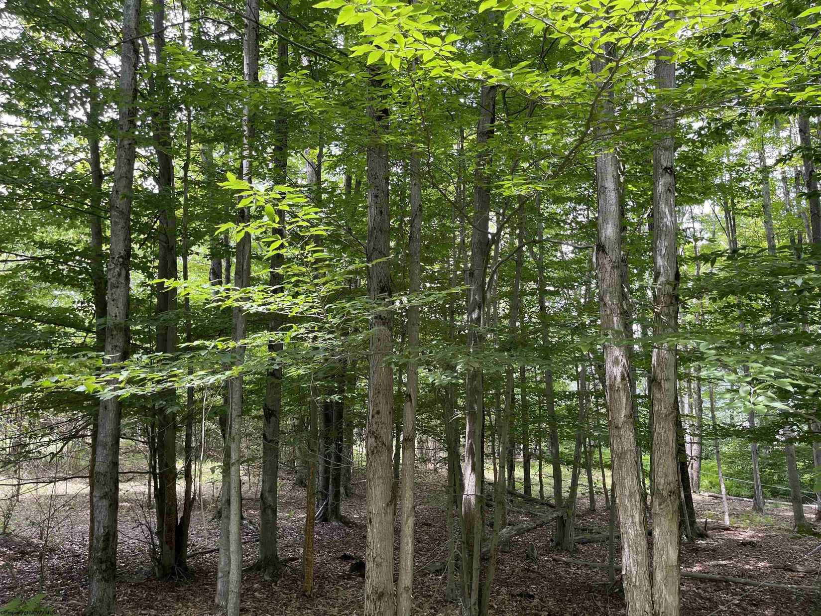 306 IDLEMAN Run RD  