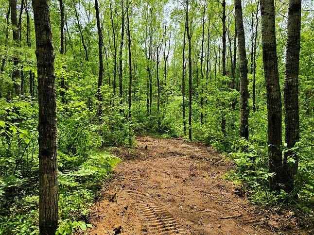 4 Swamp Lk Rd  