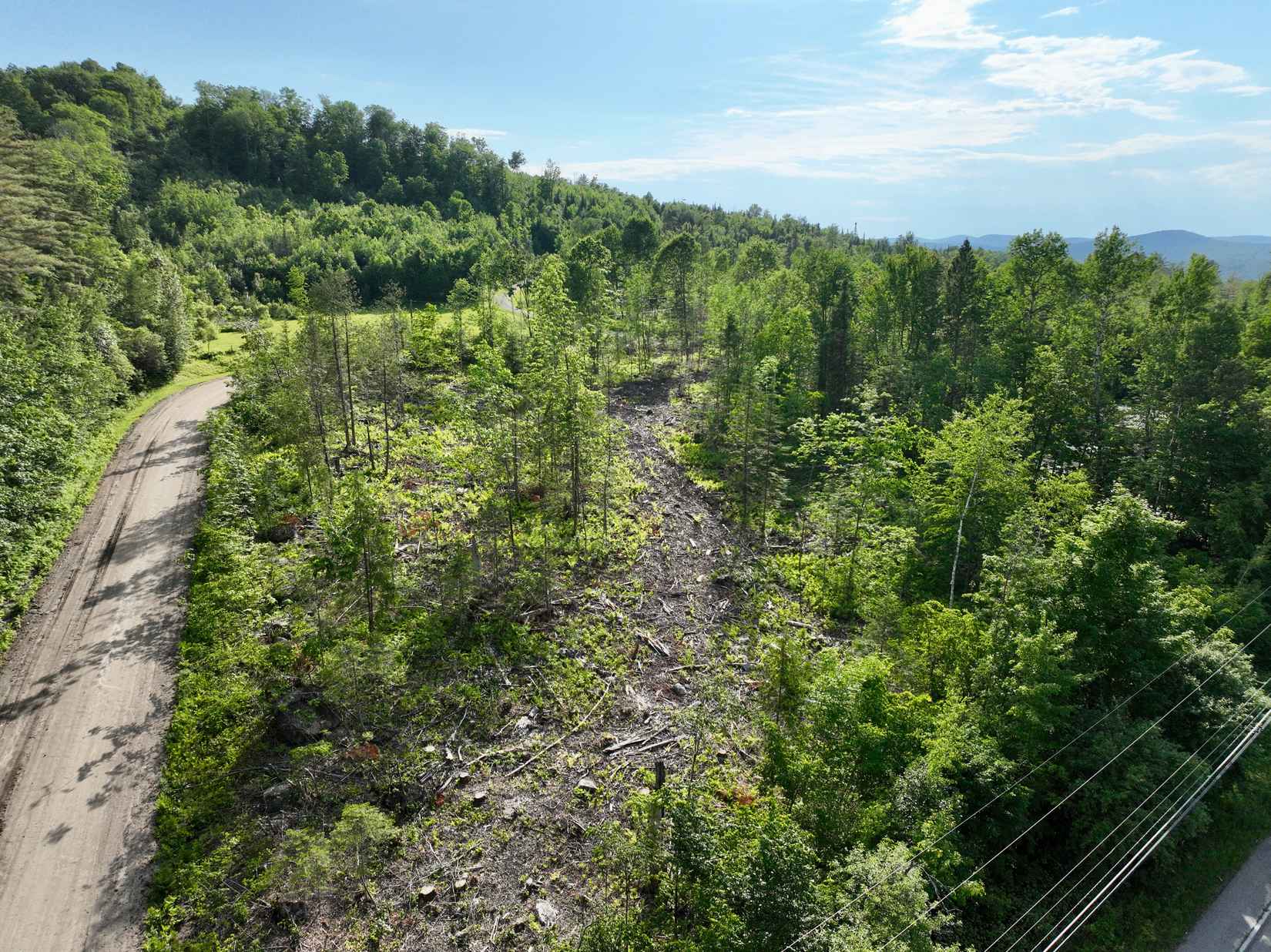 00-20 Hartco Ave Lot 20  