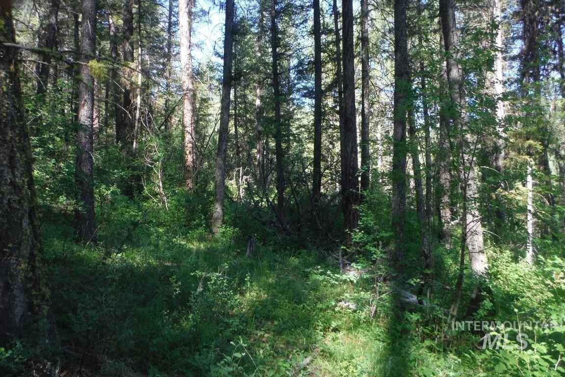 10 Acre Red Fir Pl  
