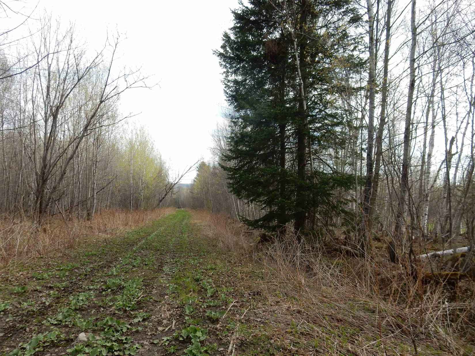 00 Burton Hl Rd  