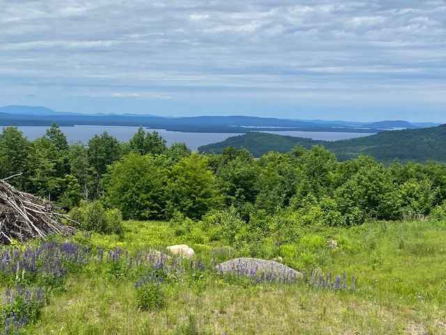 59 Moosehead Isle Rd  