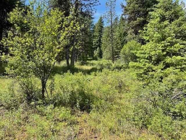 Lot 20 Little Salmon Rd  