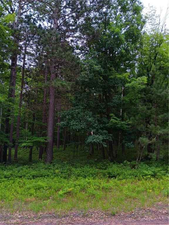 Lot 31 Great Bear Psge  
