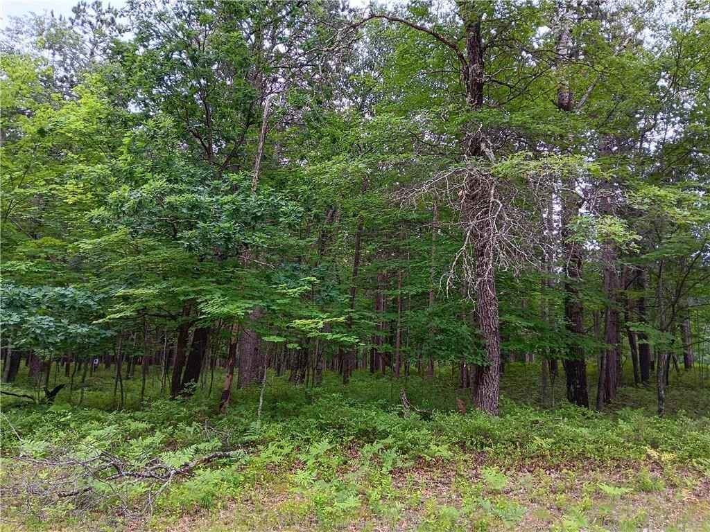 Lot 30 Great Bear Psge  