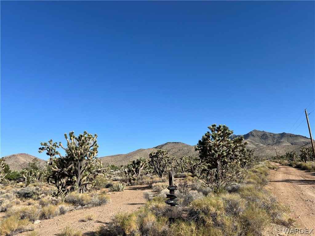 Lot 295 N SCENIC Dr  