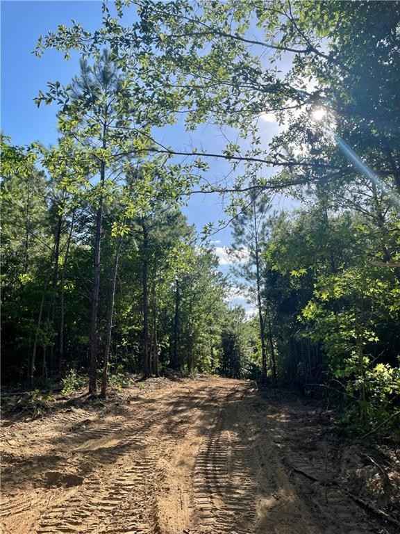 385 Rdg Rd  