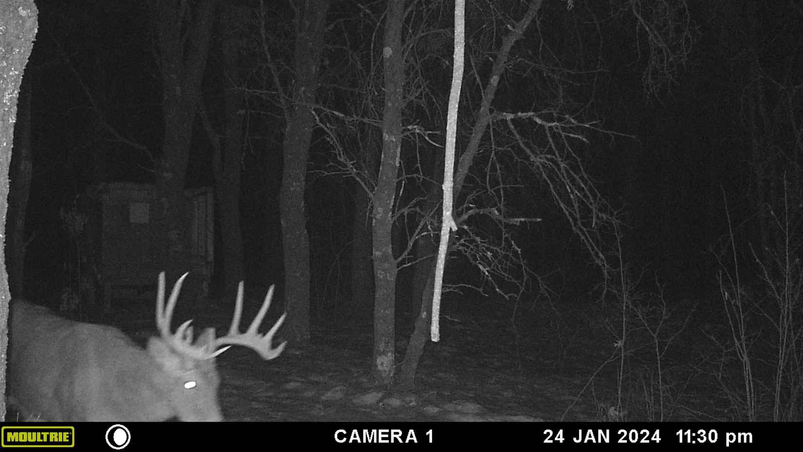 N9346 Lot B Hwy 80  